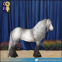 Horse Color:Gray Silver Brown 