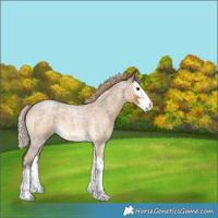 Horse Color:Chocolate Palomino Roan Dun Splash