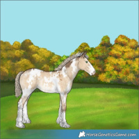 Horse Color:White Spotted Chocolate Palomino Dun Sabino