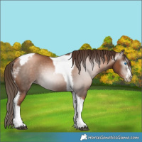Horse Color:Gray Liver Chestnut Pearl Tobiano Frame 