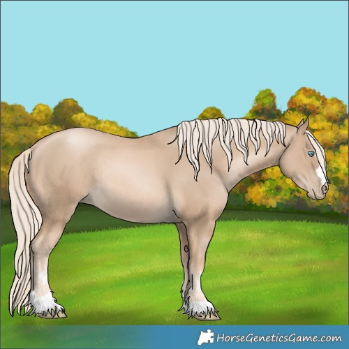 Horse Color:Chocolate Palomino Pearl Rabicano 