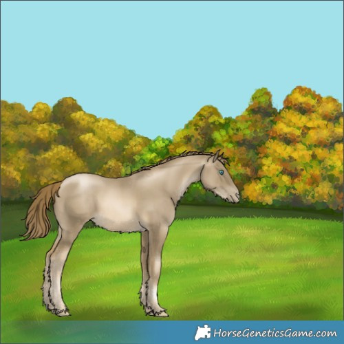 Horse Color:Smoky Black Pearl 