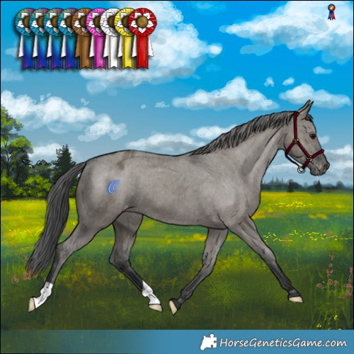 Horse Color:Grullo Varnish Brindle 