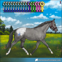 Horse Color:Grullo Varnish Brindle 