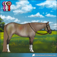 Horse Color:Liver Red Dun Brindle 