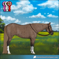 Horse Color:Liver Red Dun Brindle