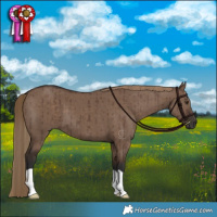 Horse Color:Liver Red Dun Brindle 