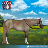 Horse Color:Liver Red Dun Brindle 