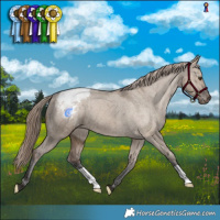 Horse Color:Liver Red Dun Varnish Brindle 