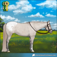 Horse Color:Liver Red Dun Varnish Brindle 