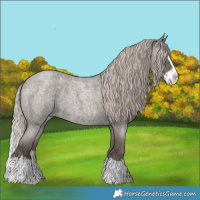 Horse Color:Silver Blue Roan Splash 