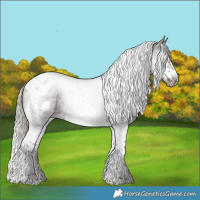 Horse Color:Silver Blue Roan Splash Tobiano Frame 