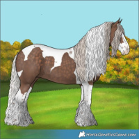 Horse Color:Silver Black Splash Tobiano
