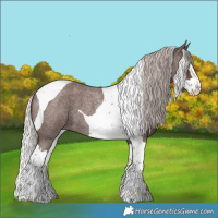 Horse Color:Silver Blue Roan Splash Tobiano 