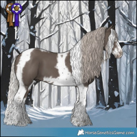 Horse Color:Silver Black Splash Tobiano Frame 