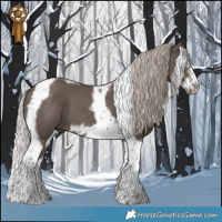 Horse Color:Silver Black Splash Tobiano Frame 