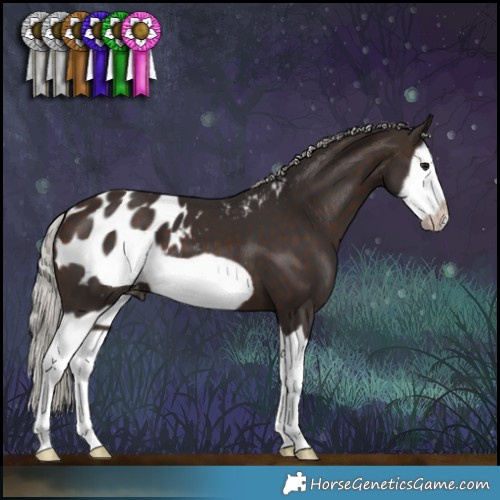 Horse Color:Silver Brown Splash Frame Appaloosa 