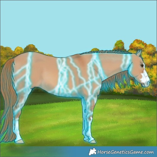 Horse Color:Thunderstruck Red Dun 