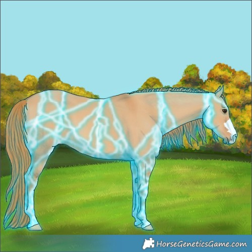 Horse Color:Thunderstruck Red Dun 