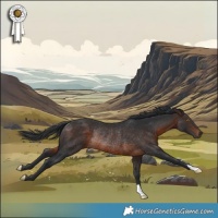 Horse Color:Brown Rabicano 