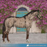 Horse Color:Liver Red Dun Brindle 