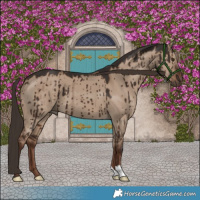 Horse Color:Liver Red Dun Brindle 