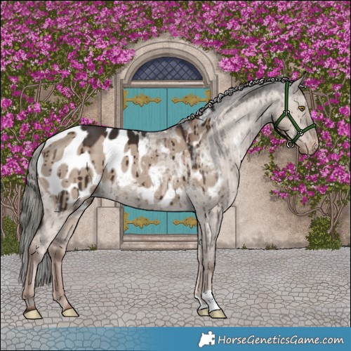 Horse Color:Liver Red Dun Mushroom Blanket Brindle 