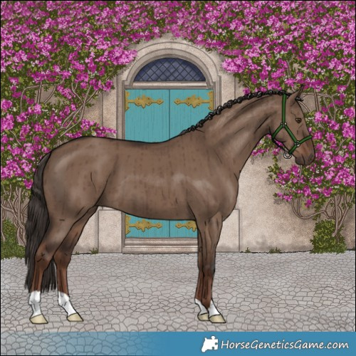 Horse Color:Liver Red Dun Brindle