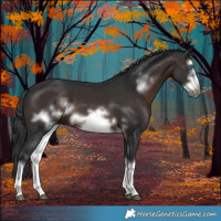 Horse Color:White Spotted Brown Frame 