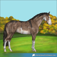 Horse Color:White Spotted Liver Red Dun Brindle 