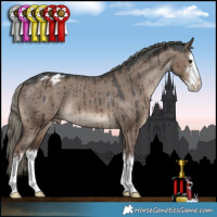 Horse Color:White Spotted Liver Red Dun Mushroom Appaloosa Brindle 