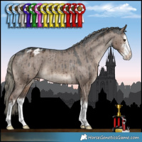 Horse Color:White Spotted Liver Red Dun Mushroom Appaloosa Brindle