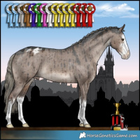 Horse Color:White Spotted Liver Red Dun Mushroom Appaloosa Brindle