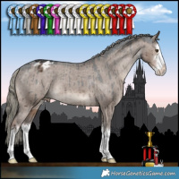 Horse Color:White Spotted Liver Red Dun Mushroom Appaloosa Brindle 