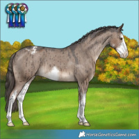 Horse Color:White Spotted Liver Red Dun Varnish Brindle 