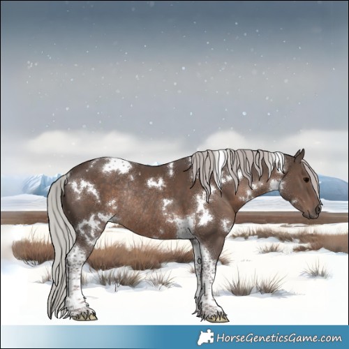 Horse Color:White Spotted Silver Black Tobiano Rabicano 