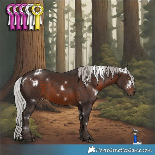 Horse Color:White Spotted Silver Brown 