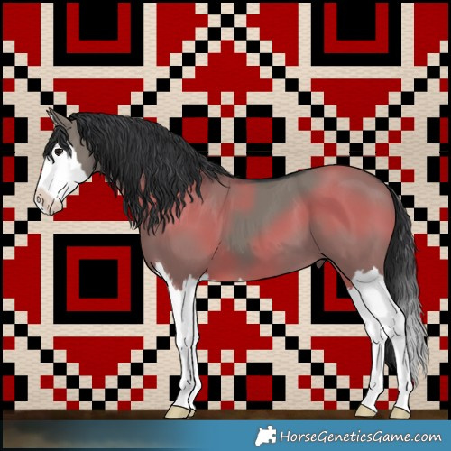 Horse Color:Grullo Splash