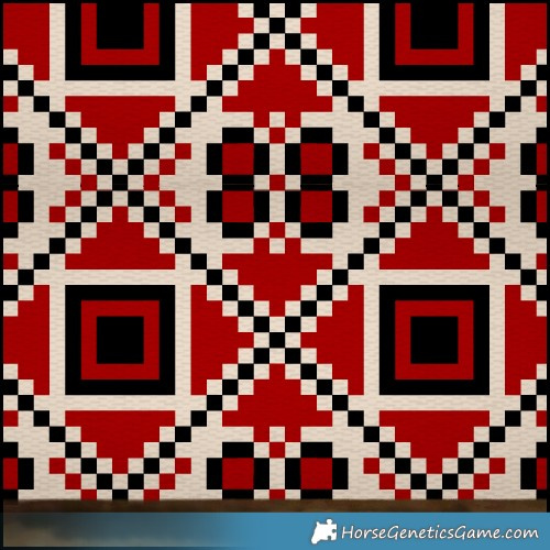 Horse Color:Grullo Splash