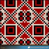 Horse Color:Grullo Splash 