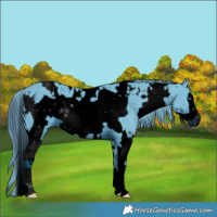 Horse Color:ERROR: UNKNOWN ANOMALY