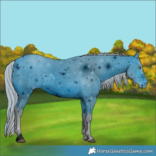 Horse Color:ERROR: UNKNOWN ANOMALY