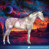 Horse Color:Painted Brown Ice Tobiano 