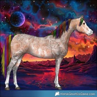 Horse Color:Painted Buckskin Ice Sabino Rabicano 