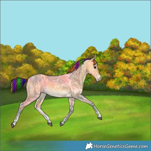 Horse Color:Painted Buckskin Ice Sabino Rabicano 