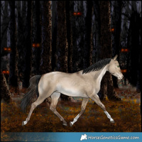 Horse Color:White Spotted Bay Pearl Dun Tobiano Rabicano