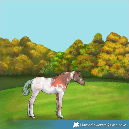 Horse Color:Painted White Spotted Silver Brown Dun 