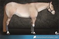 Horse Color:Brown Pearl Dun Tobiano Rabicano 