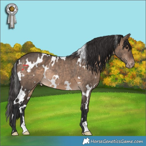 Horse Color:White Spotted Brown Dun Appaloosa Rabicano 