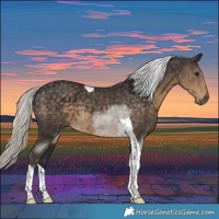 Horse Color:Silver Smoky Black Tobiano
